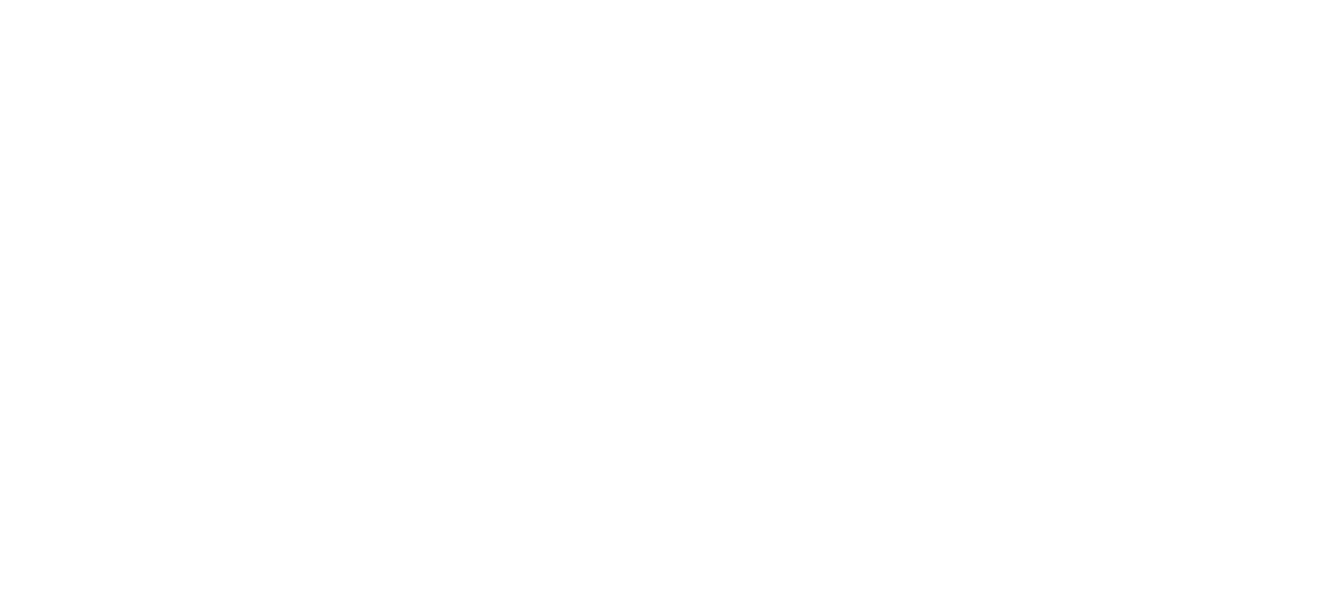 Four Seasons Logo